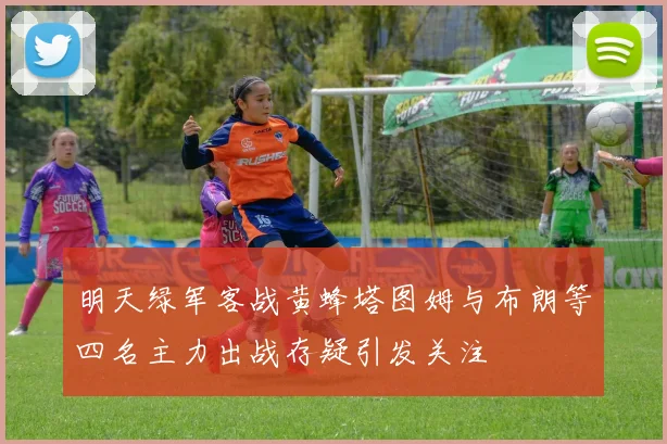 明天绿军客战黄蜂塔图姆与布朗等四名主力出战存疑引发关注